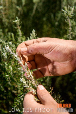 September 2018 / Lachlan_STONE_ATSI_STUDENT_OTY_180917_058