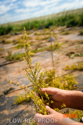 September 2018 / Lachlan_STONE_ATSI_STUDENT_OTY_180917_059