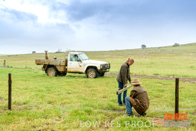 September 2019 / Sophie_NUSKE_190920_074