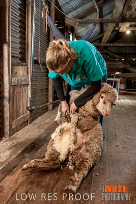 September 2019 / Sophie_NUSKE_190920_083