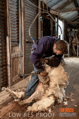 September 2019 / Sophie_NUSKE_190920_095