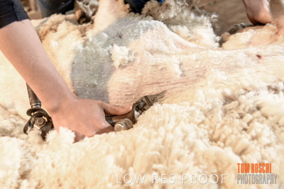 September 2019 / Sophie_NUSKE_190920_103