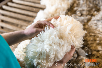 September 2019 / Sophie_NUSKE_190920_156