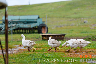 September 2019 / Sophie_NUSKE_190920_158