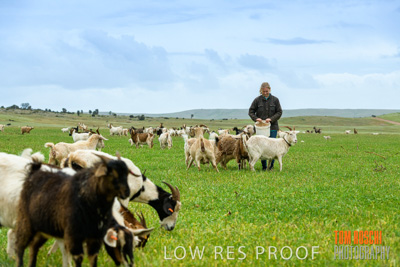 September 2019 / Sophie_NUSKE_190920_182