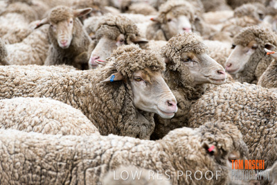 September 2019 / Sophie_NUSKE_190920_248