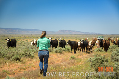 October 2020 / Phoebe_STOREY_and_Bindi_201001_026