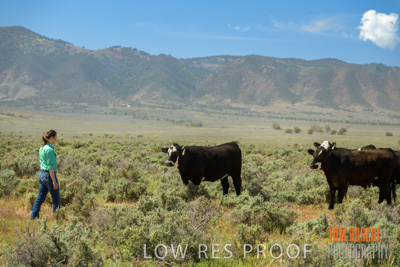 October 2020 / Phoebe_STOREY_and_Bindi_201001_030