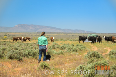 October 2020 / Phoebe_STOREY_and_Bindi_201001_041