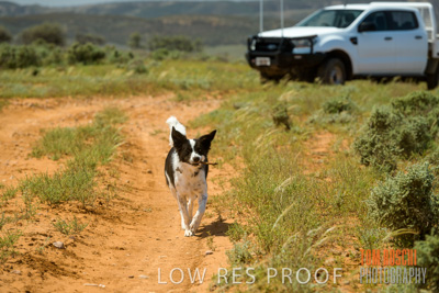 October 2020 / Phoebe_STOREY_and_Bindi_201001_074