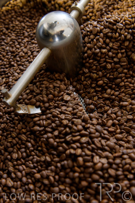 September 2021 / SEOTY-MyKingdome_088