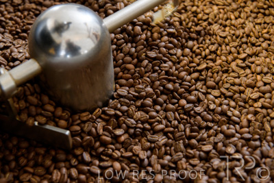 September 2021 / SEOTY-MyKingdome_089