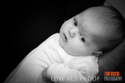 April 2019 / Dr_SEXTON_190403_061