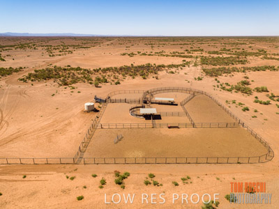 WERTALOONA_SA_200113_016