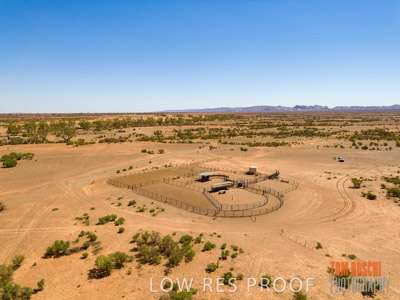 WERTALOONA_SA_200113_019