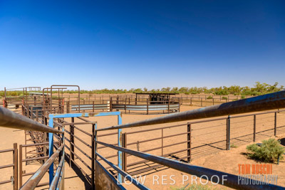 WERTALOONA_SA_200113_023