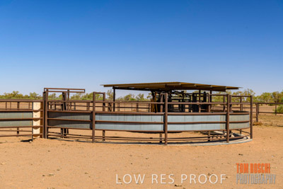 WERTALOONA_SA_200113_024