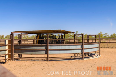 WERTALOONA_SA_200113_025