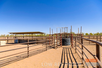 WERTALOONA_SA_200113_027