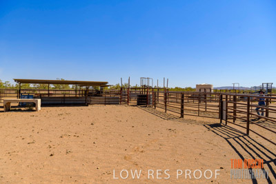 WERTALOONA_SA_200113_029