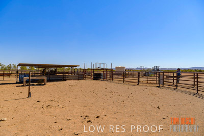 WERTALOONA_SA_200113_030