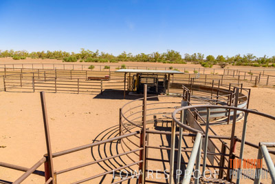 WERTALOONA_SA_200113_031