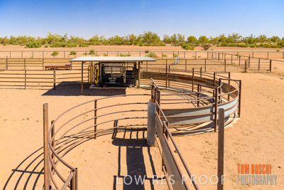 WERTALOONA_SA_200113_033