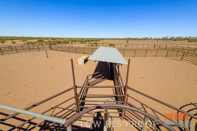 WERTALOONA_SA_200113_035