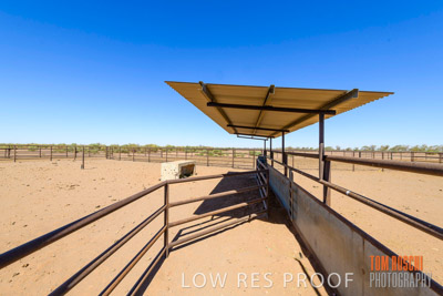 WERTALOONA_SA_200113_036