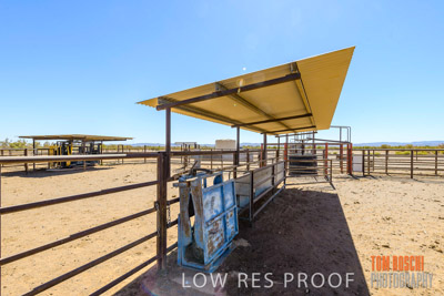 WERTALOONA_SA_200113_037