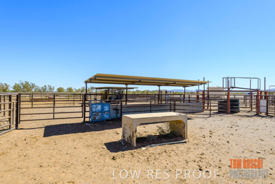 WERTALOONA_SA_200113_038