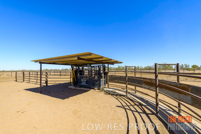 WERTALOONA_SA_200113_039