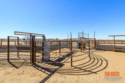 WERTALOONA_SA_200113_041