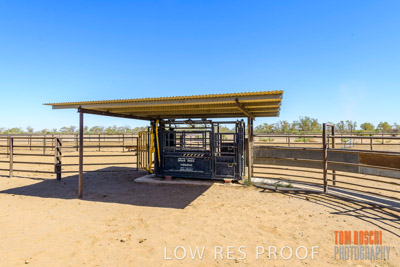 WERTALOONA_SA_200113_042