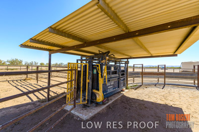 WERTALOONA_SA_200113_043