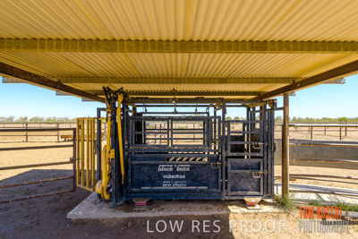 WERTALOONA_SA_200113_044