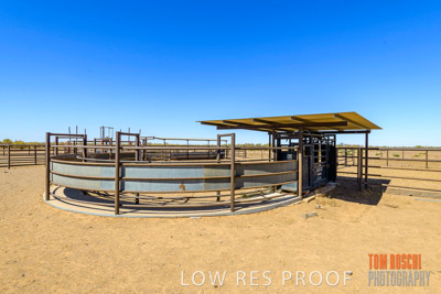 WERTALOONA_SA_200113_046