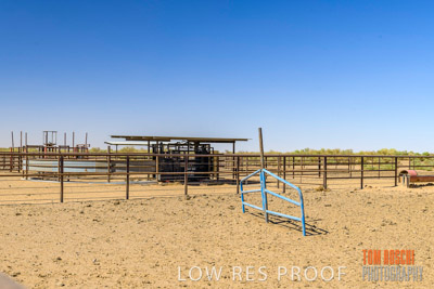 WERTALOONA_SA_200113_048