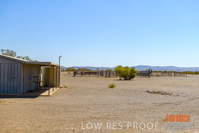 WERTALOONA_SA_200113_052