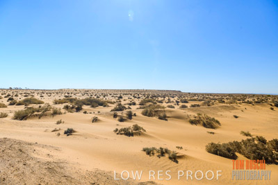 WERTALOONA_SA_200113_059