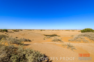 WERTALOONA_SA_200113_061