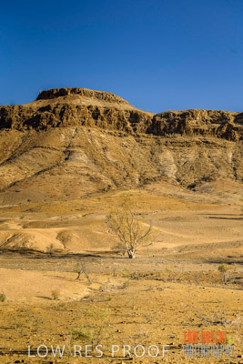 WERTALOONA_SA_200113_070