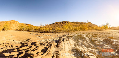 WERTALOONA_SA_200113_076