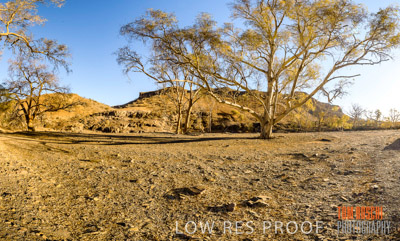 WERTALOONA_SA_200113_079