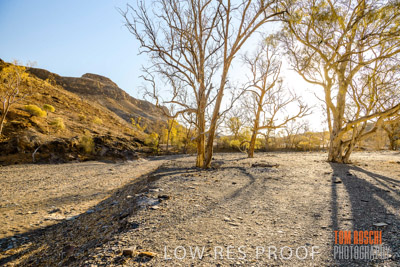 WERTALOONA_SA_200113_080