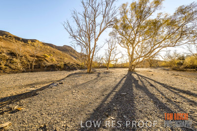 WERTALOONA_SA_200113_081