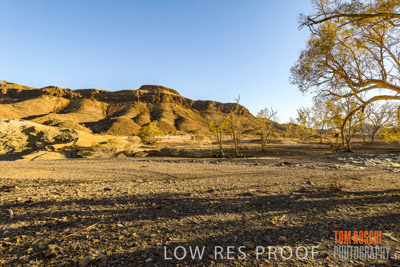 WERTALOONA_SA_200113_083