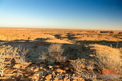 WERTALOONA_SA_200113_087