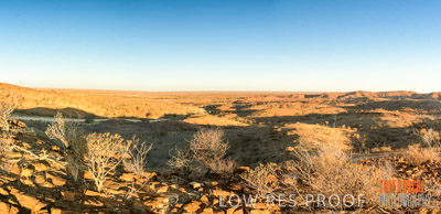 WERTALOONA_SA_200113_088