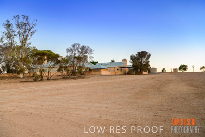 WERTALOONA_SA_200113_096